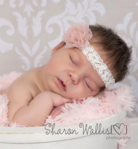 Delicate dusky pink sheer flower on an ivory lace headband